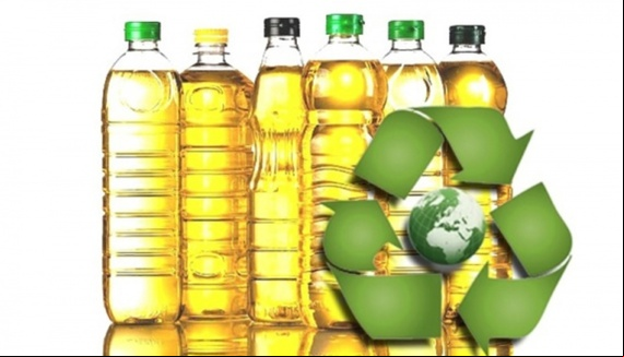 Dia do Meio Ambiente tenha práticas sustentáveis